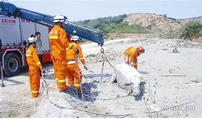 ٹţ̶(li) ܇(ch)Ρţ