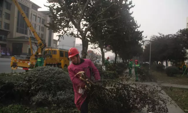 �߿����I(y��)܇