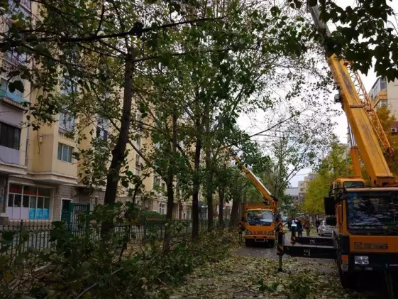 �߿����I(y��)܇