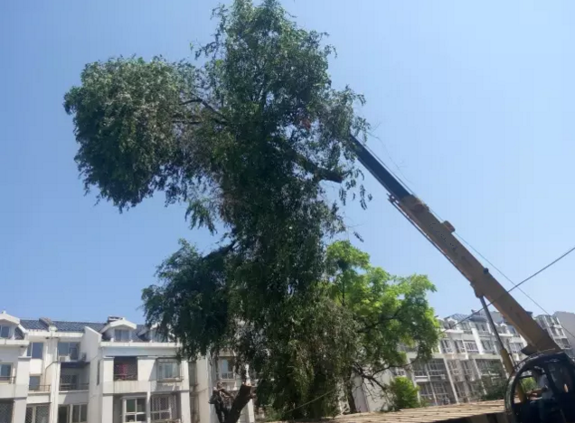 高空作業(yè)車