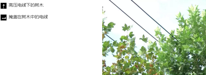 高空作業(yè)車